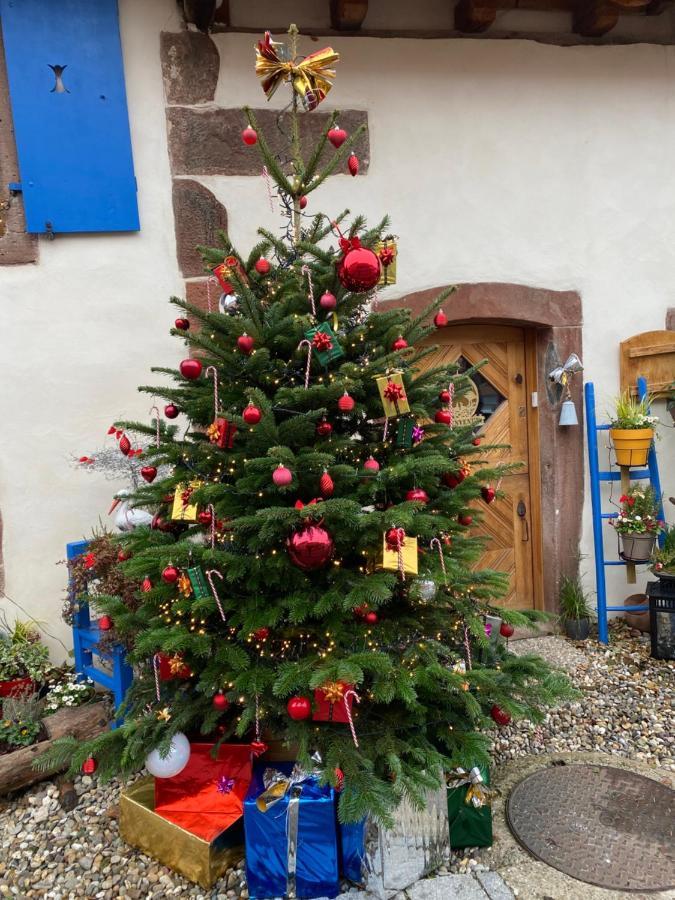 Le Nid De Cigognes Hotel Hengwiller Екстериор снимка