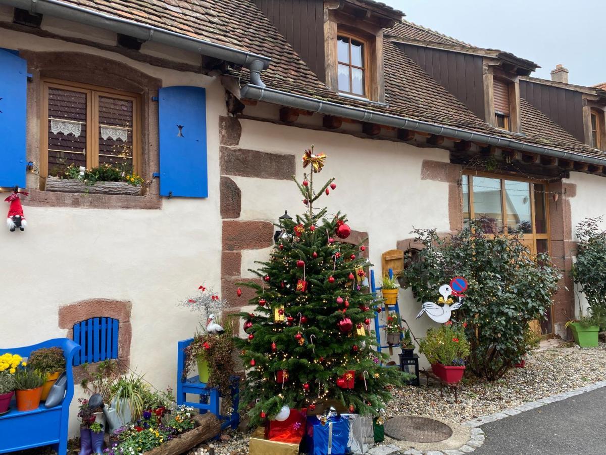 Le Nid De Cigognes Hotel Hengwiller Екстериор снимка
