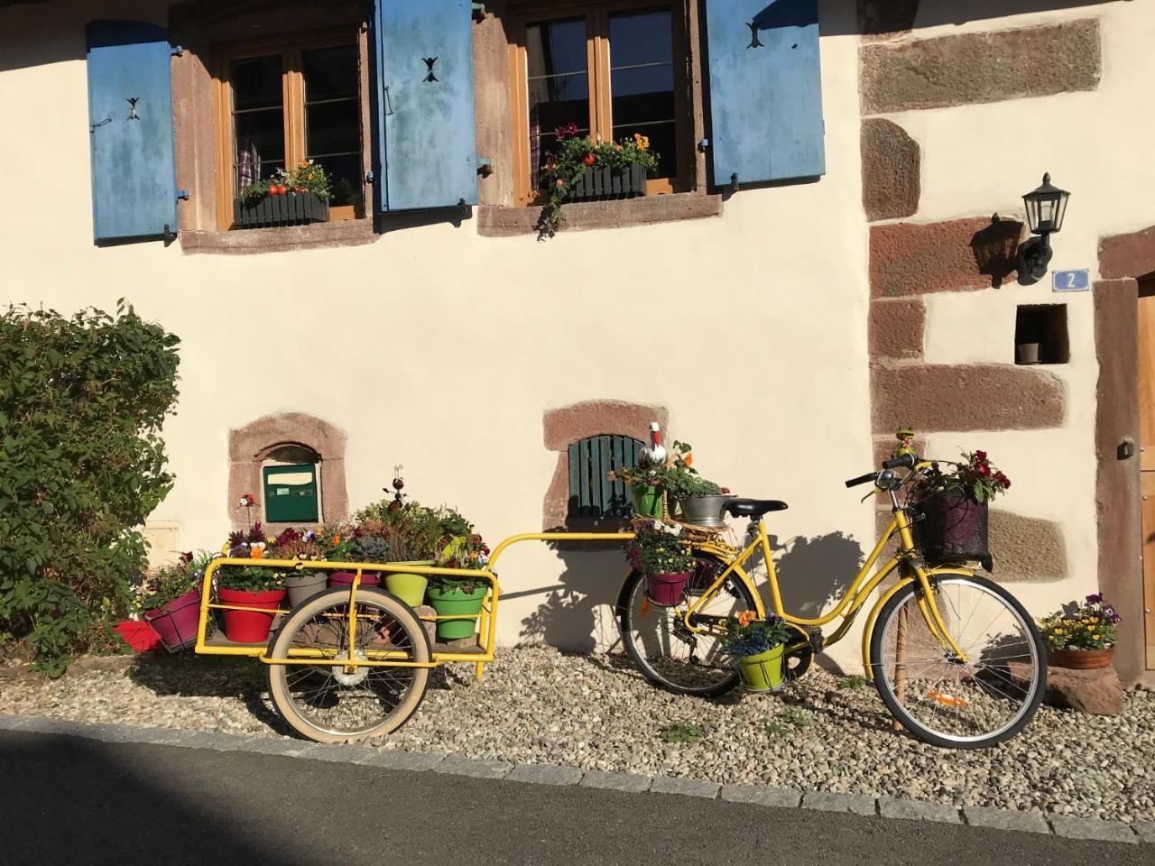 Le Nid De Cigognes Hotel Hengwiller Екстериор снимка